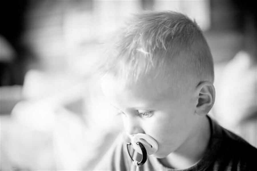 opdag fordelene ved oekologiske sutter