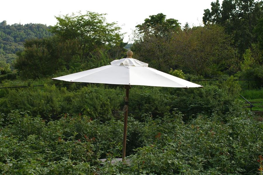 Haveparasoller - guide til valg og vedligeholdelse